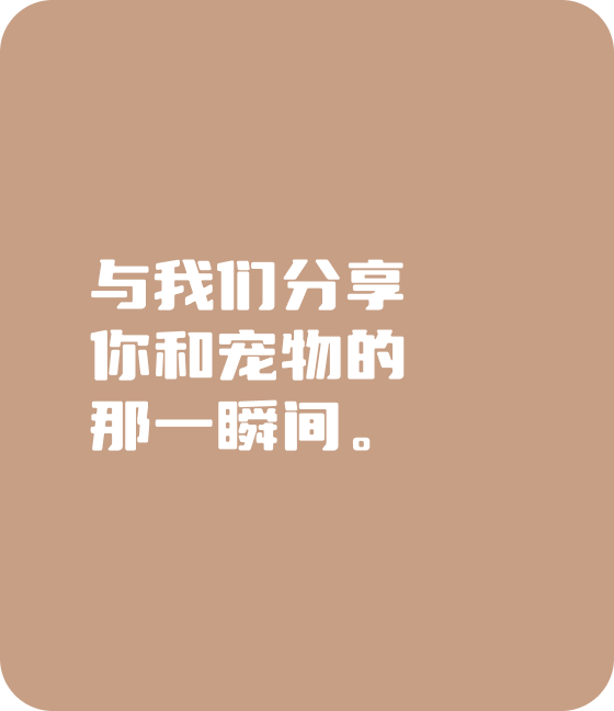 金年金字招牌(jinnian)诚信至上-OfficialPl宠物，无处不在